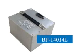 48V Battery with BMS for Electric Scooters - 800W