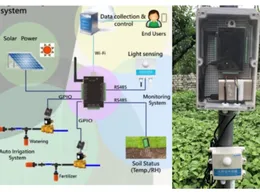 Smart Agriculture: Monitoring & irrigation system