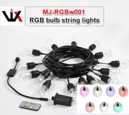 Color Adjustable RGB Bulb String Lights