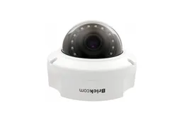 Fixed Dome Network Camera for indoor