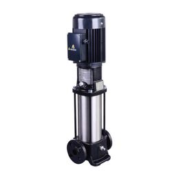 Walrus Vertical Multistage Centrifugal Pumps TPR Series