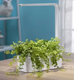 Automatic Water Absorption Flower Pots with Growth Lamp